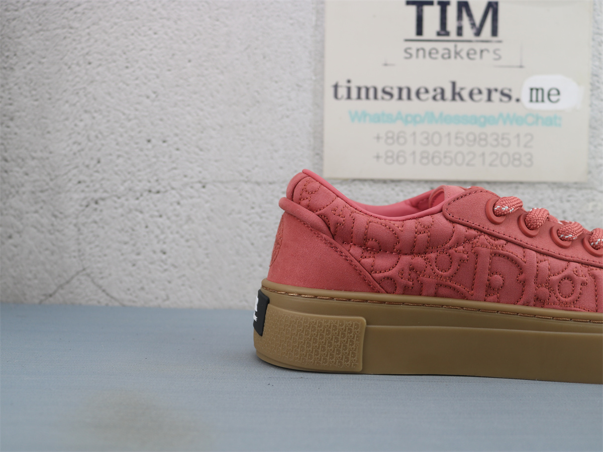 Stone Island x Dior B33 Skateboard Shoes Low-Top Red